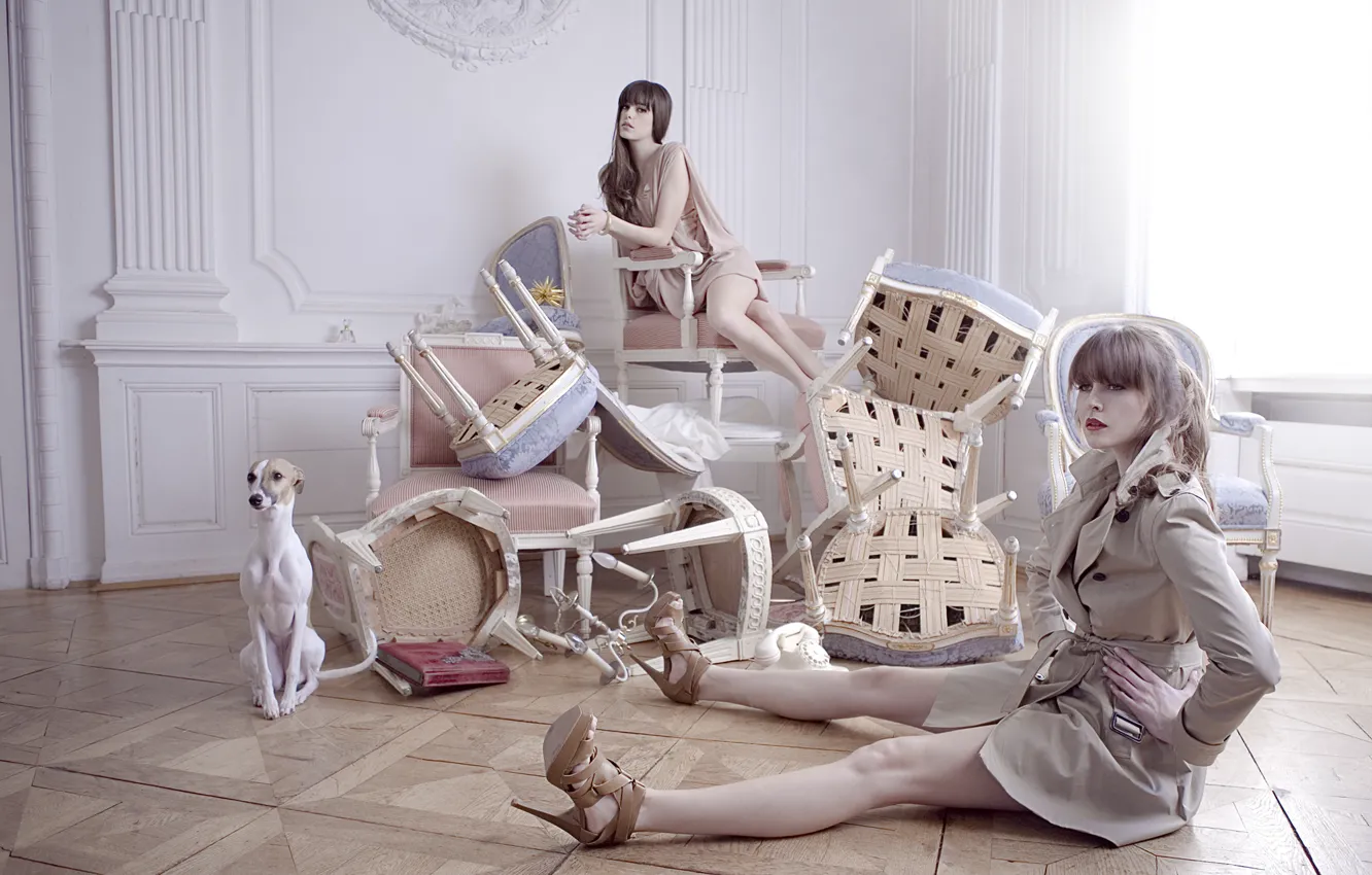 Photo wallpaper girls, chairs, interior, dog, posing, model, furnished