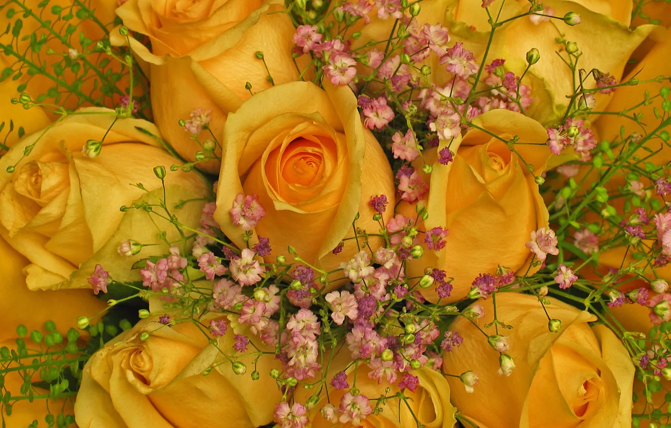 Photo wallpaper flowers, roses, bouquet, yellow, flowers, buds, a lot, twigs