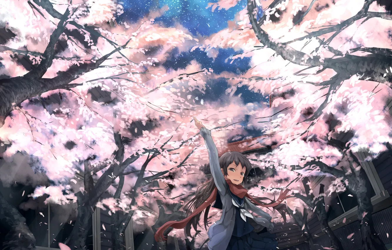 Photo wallpaper stars, night, Sakura, yard, girl
