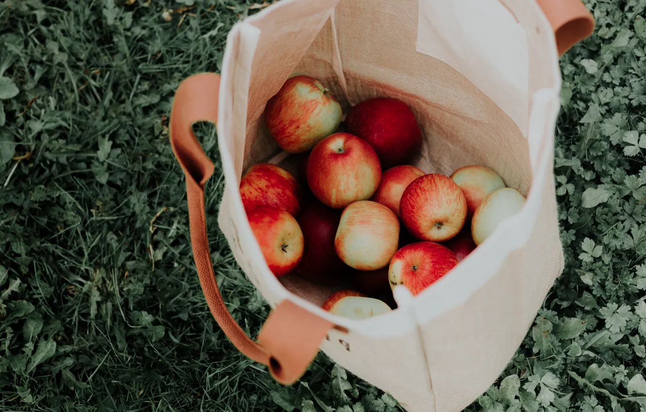 Photo wallpaper grass, apples, package