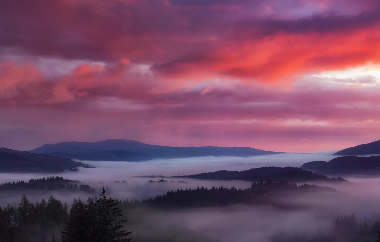 Photo wallpaper forest, the sky, clouds, landscape, sunset, mountains, nature, fog