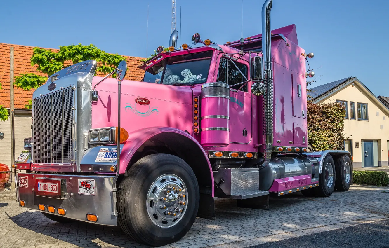 Photo wallpaper white, tiger, pink, peterbilt