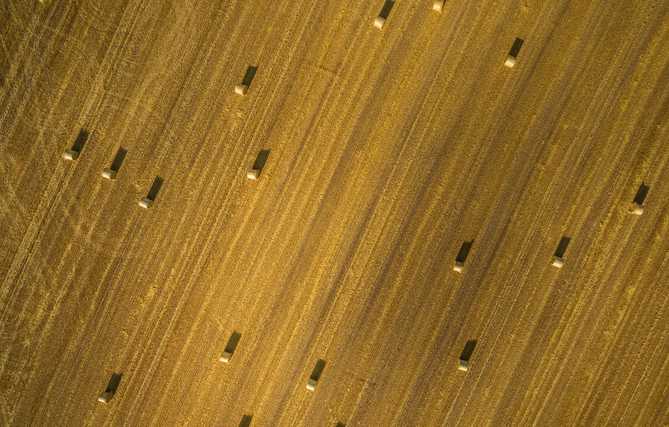 Photo wallpaper field, nature, hay