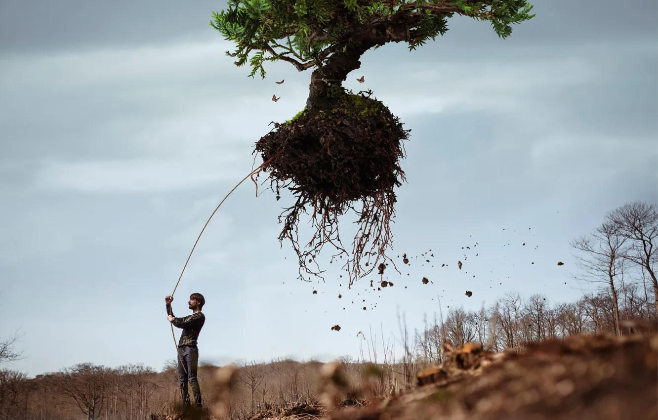 Photo wallpaper roots, tree, male, Vincent Bourilhon