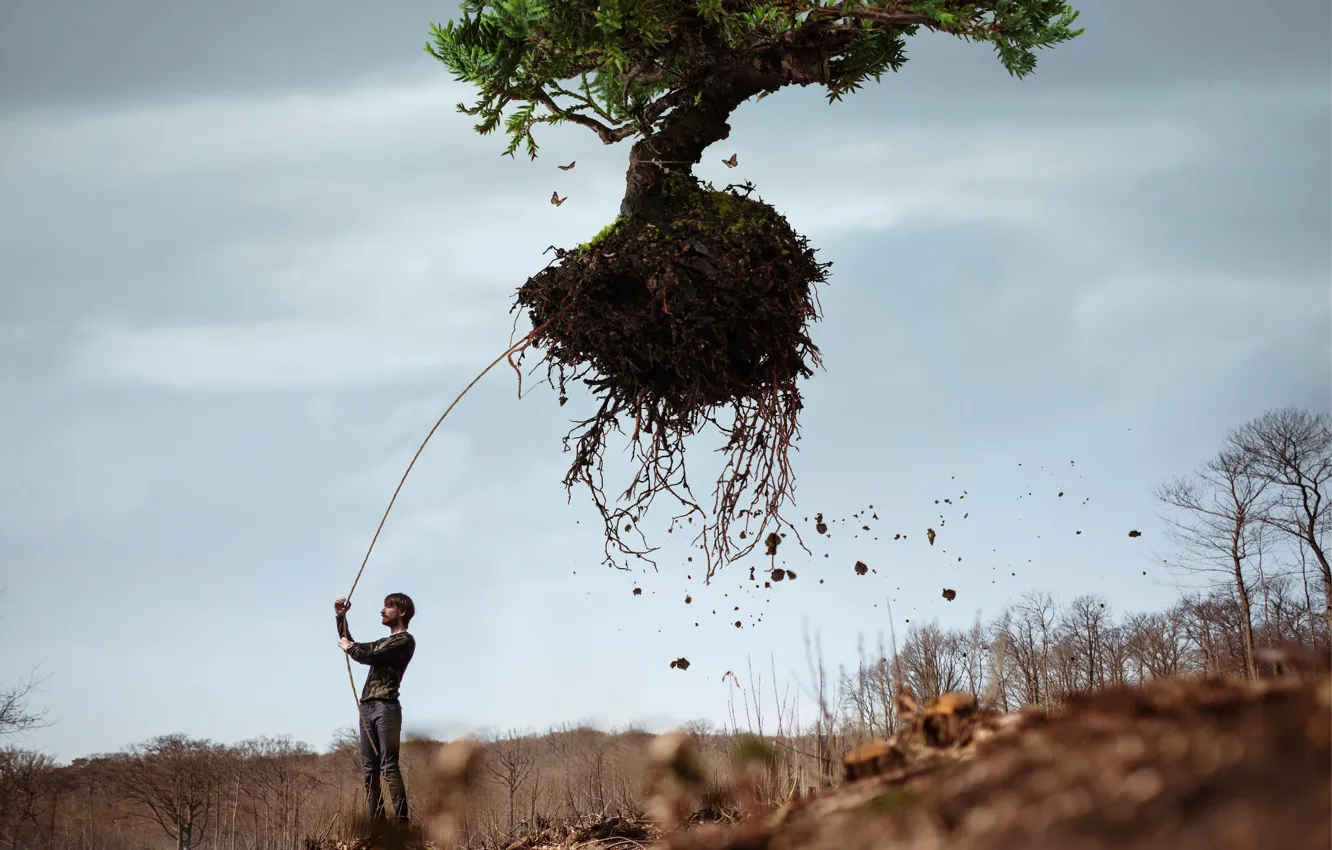 Photo wallpaper trees, roots, male, Vincent Bourilhon