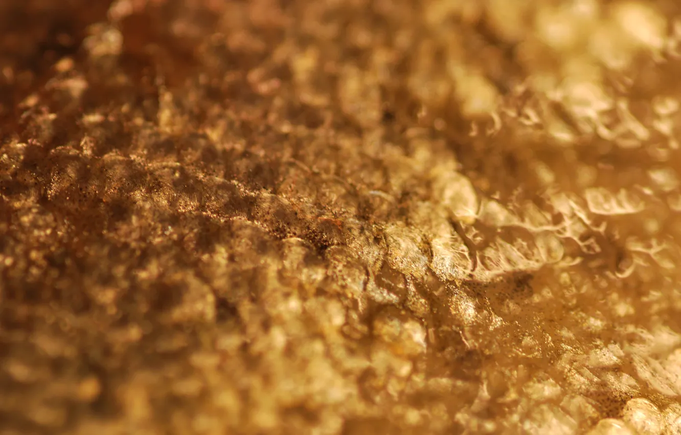 Photo wallpaper surface, light, metal, bumps, gold, Shine, bumps