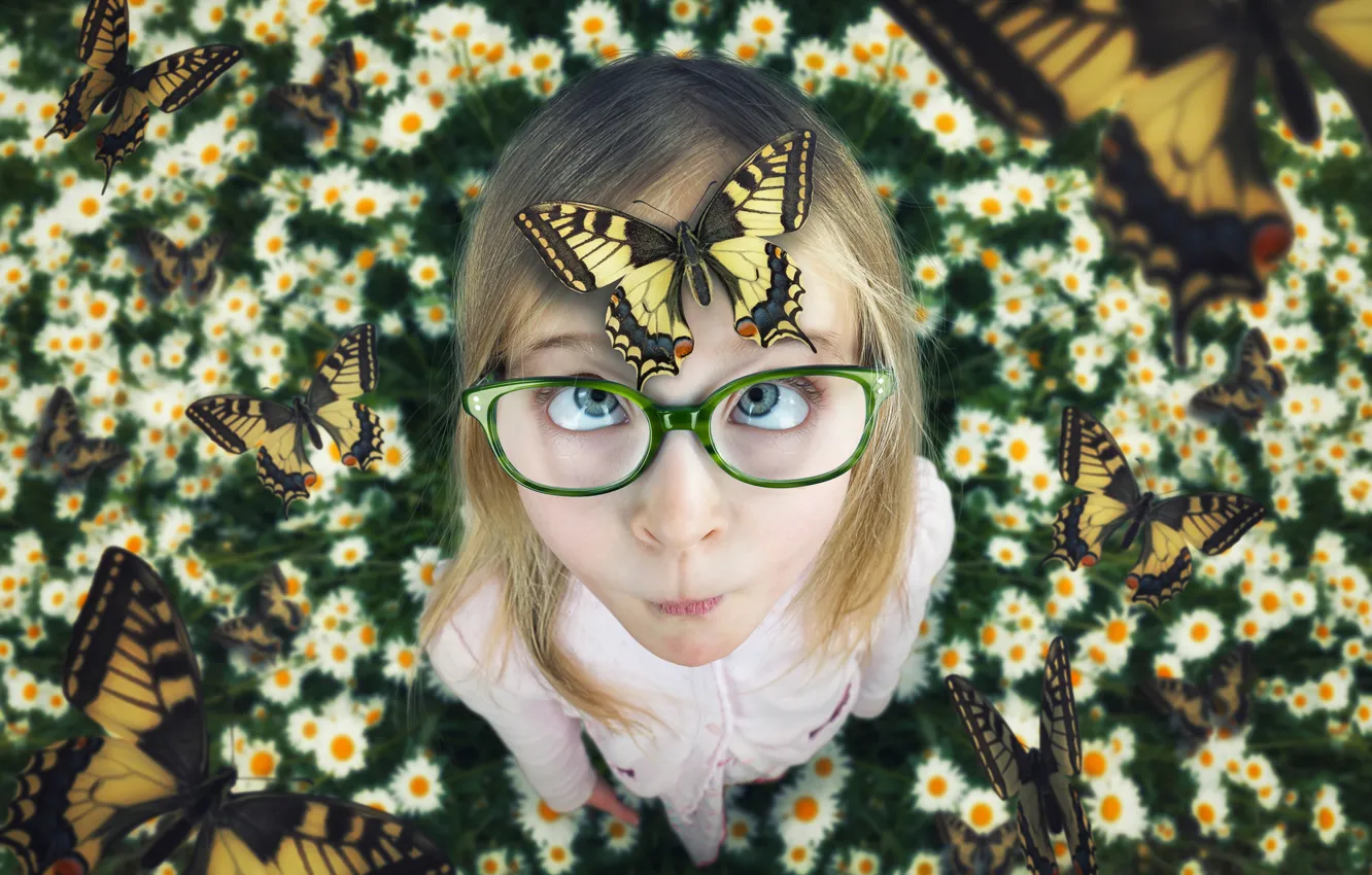 Photo wallpaper summer, butterfly, chamomile, girl, A touch of summer