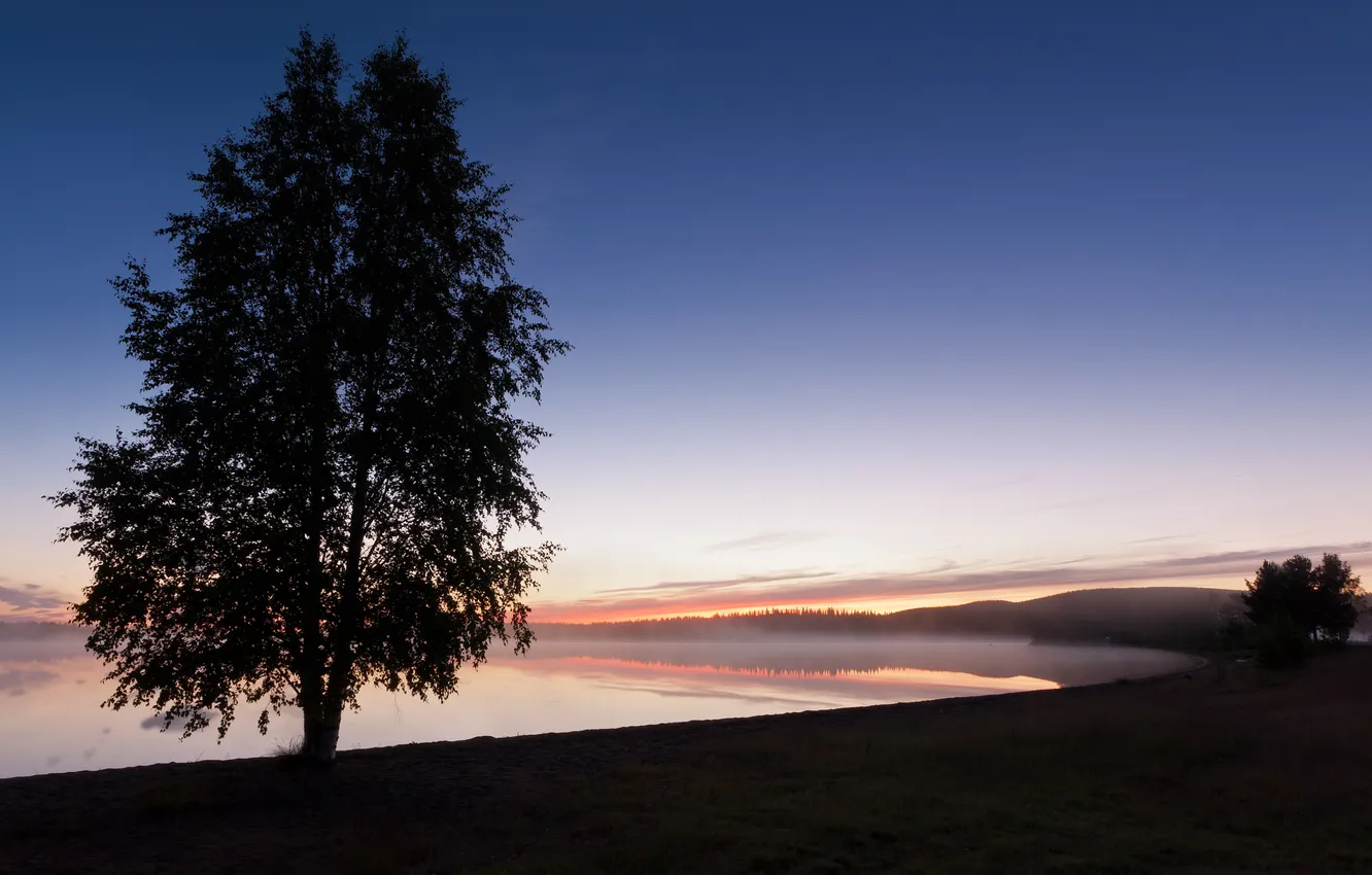 Photo wallpaper the sky, trees, fog, twilight