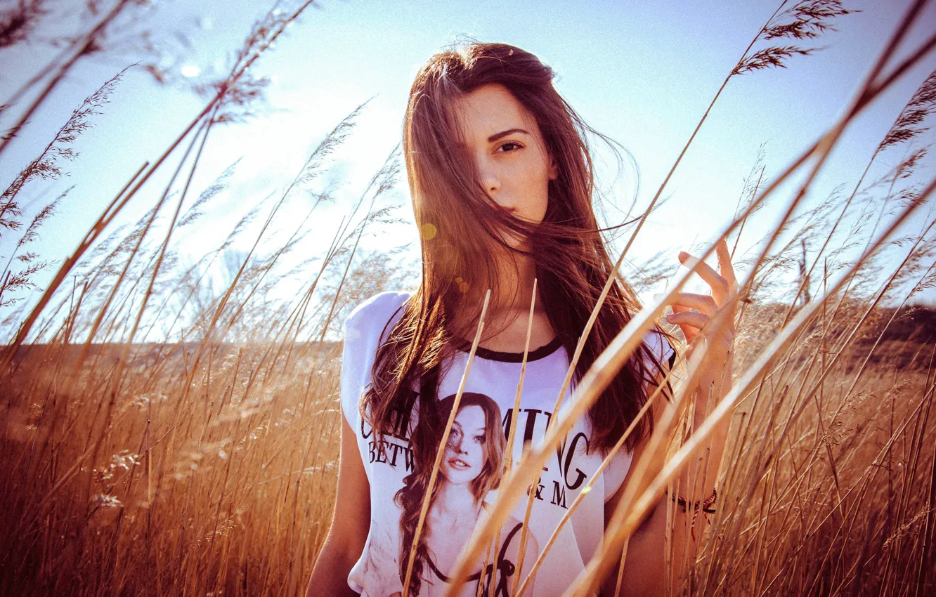 Photo wallpaper field, grass, girl, the sun, makeup, t-shirt, hairstyle, brown hair