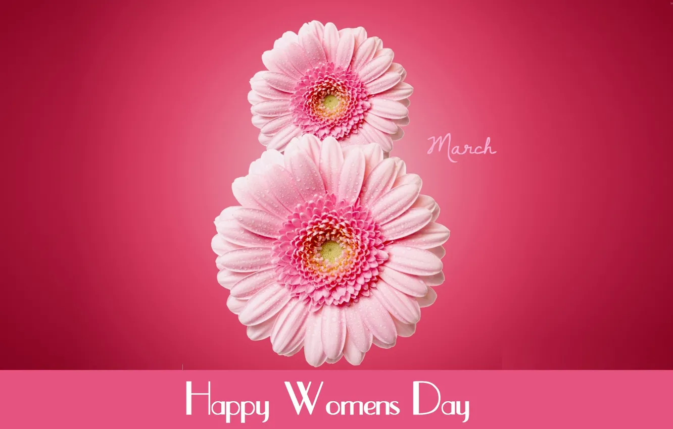 Photo wallpaper flowers, mood, day, pink, March 8, international, women's