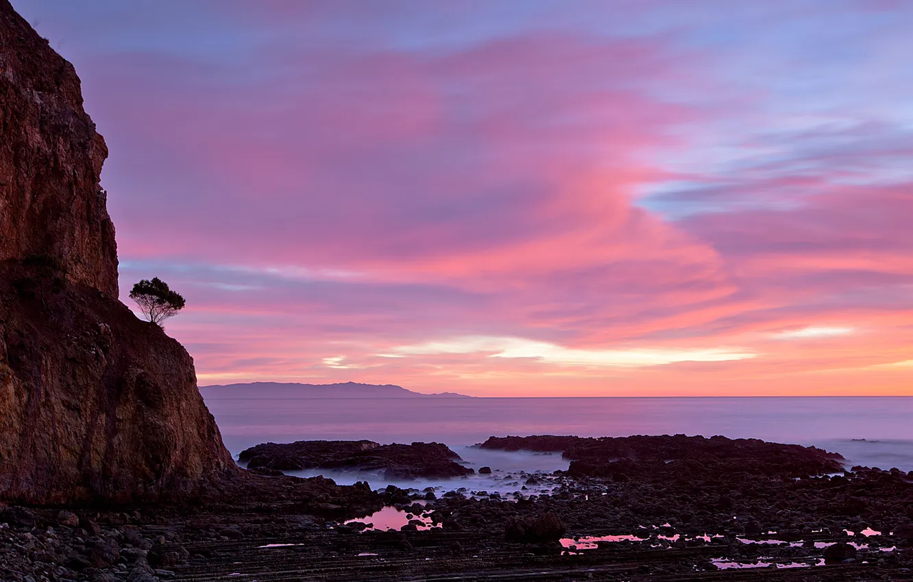 Photo wallpaper sea, the sky, clouds, trees, stones, rocks, morning