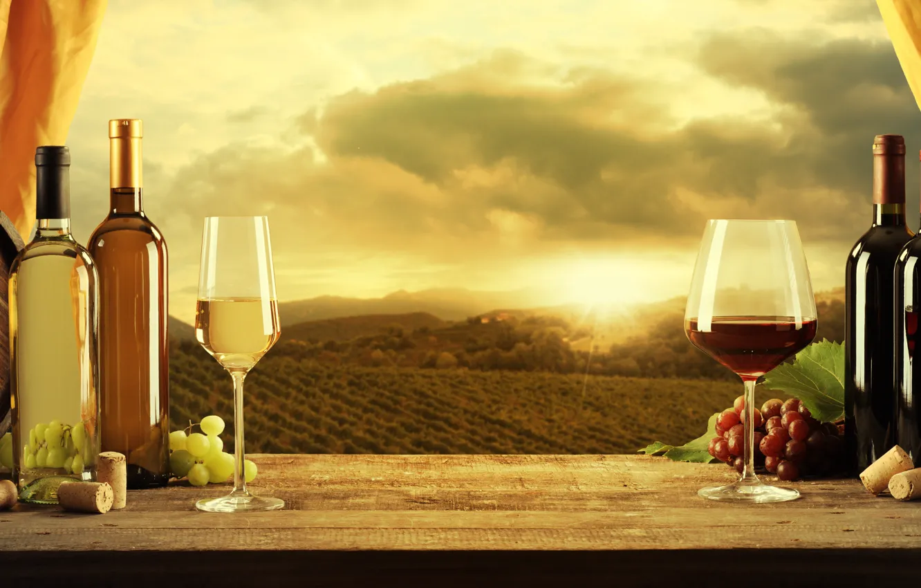 Photo wallpaper wine, red, white, glasses, grapes, tube, barrels, corkscrew