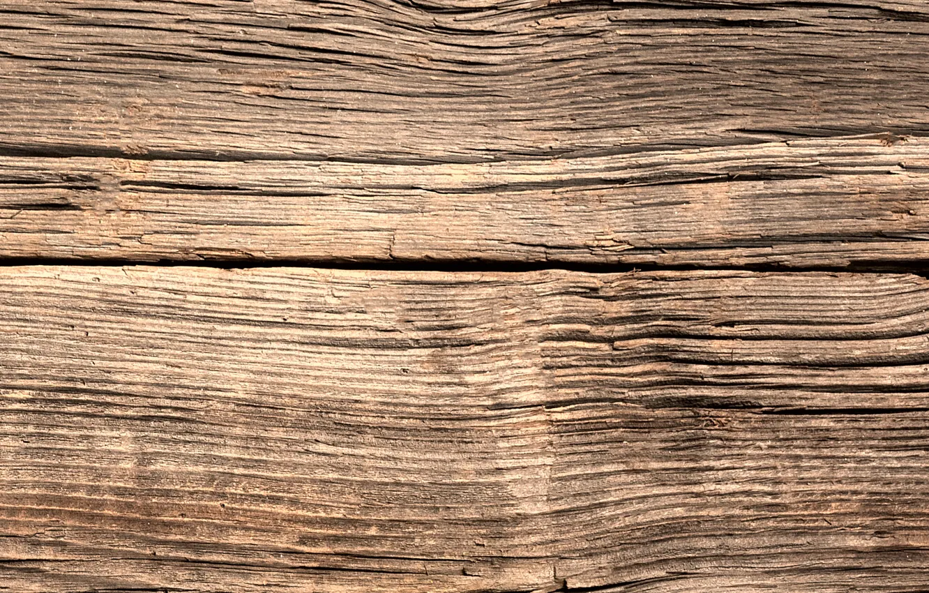Photo wallpaper old, wood, texture