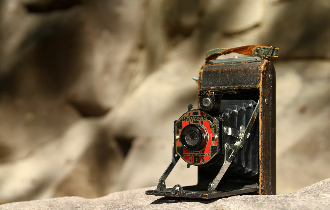 Photo wallpaper macro, background, camera