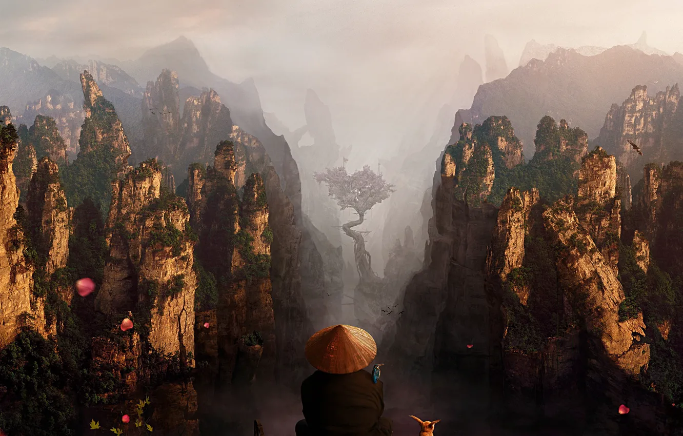 Photo wallpaper fog, tree, rocks, meditation, monk, gorge, abyss, traveler