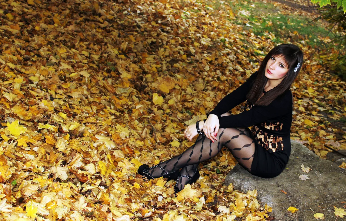 Photo wallpaper look, brown eyes, brown eyes, look, yellow foliage, Bright makeup, slender legs, slender legs