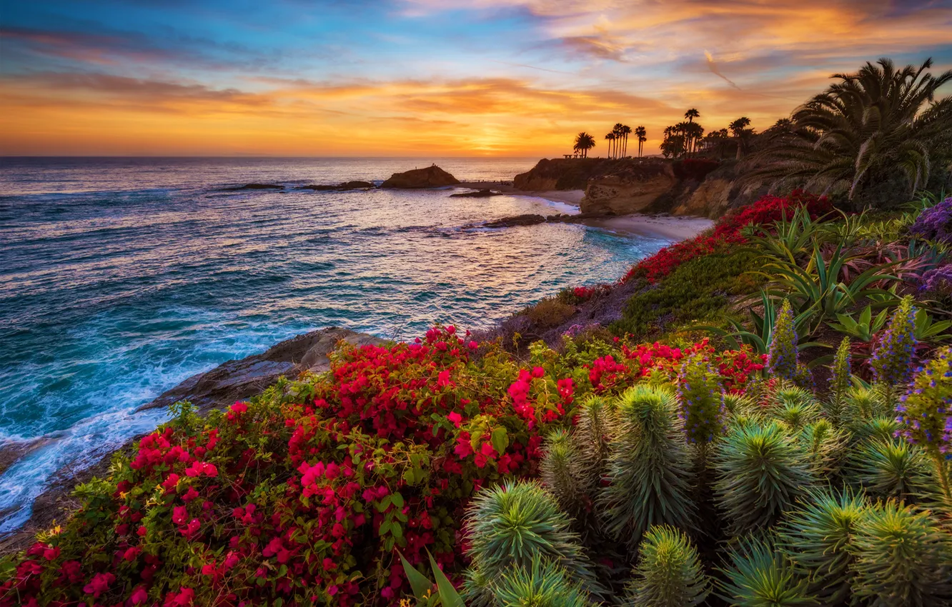 Photo wallpaper sea, sunset, flowers, tropics, palm trees, coast, horizon, the bushes