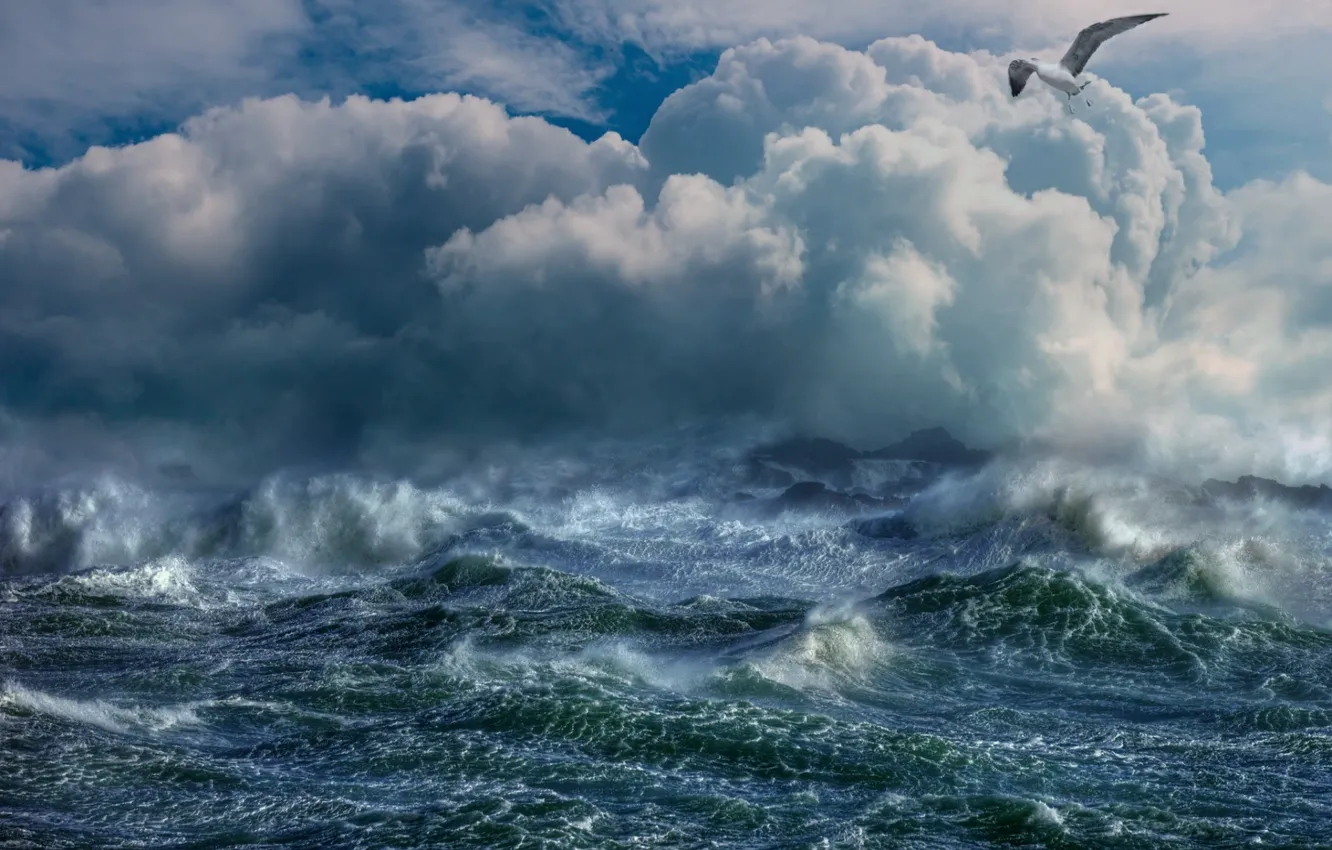 Photo wallpaper seagulls, sea, wave, the sky, element, squirt