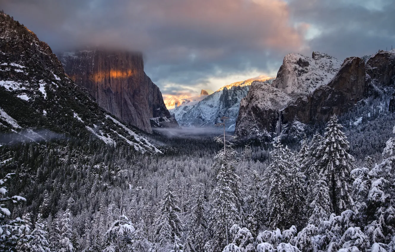 Photo wallpaper winter, forest, trees, valley, CA, California, Yosemite national Park, Yosemite National Park