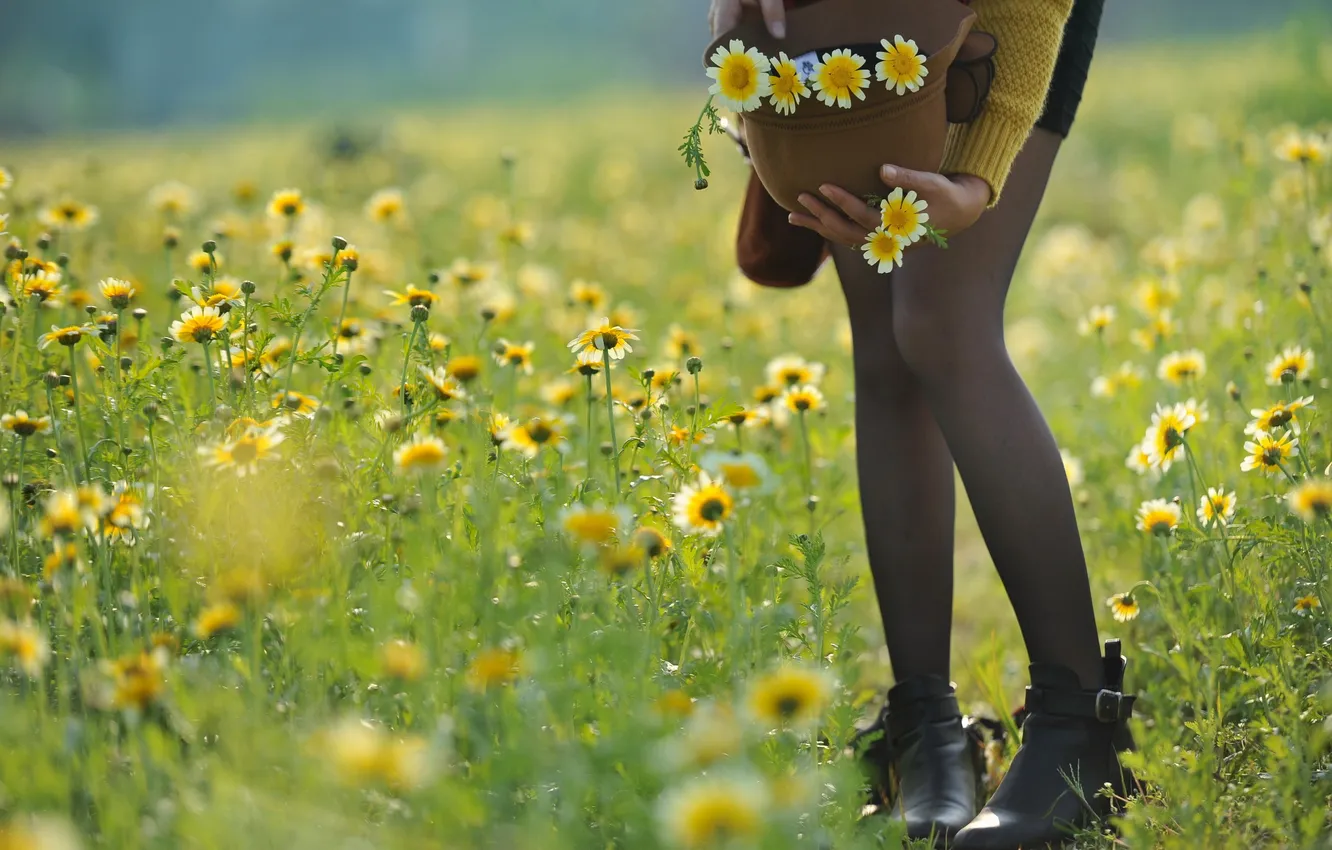 Photo wallpaper summer, girl, flowers