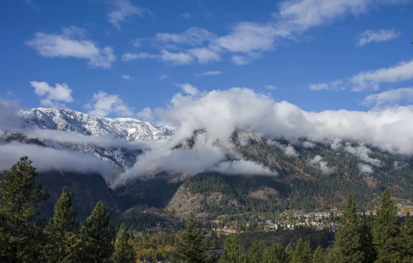 Photo wallpaper the sky, clouds, trees, tops, coniferous forest, natural beauty, mountain Charm, Icicle valley