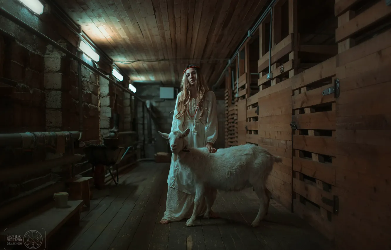 Photo wallpaper girl, goat, Darya Bilyk