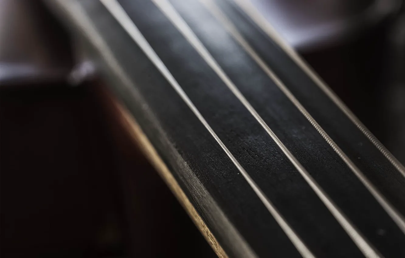 Photo wallpaper macro, strings, tool