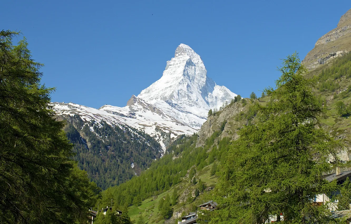 Photo wallpaper snow, trees, Switzerland, slope, Alps, Italy, the Matterhorn