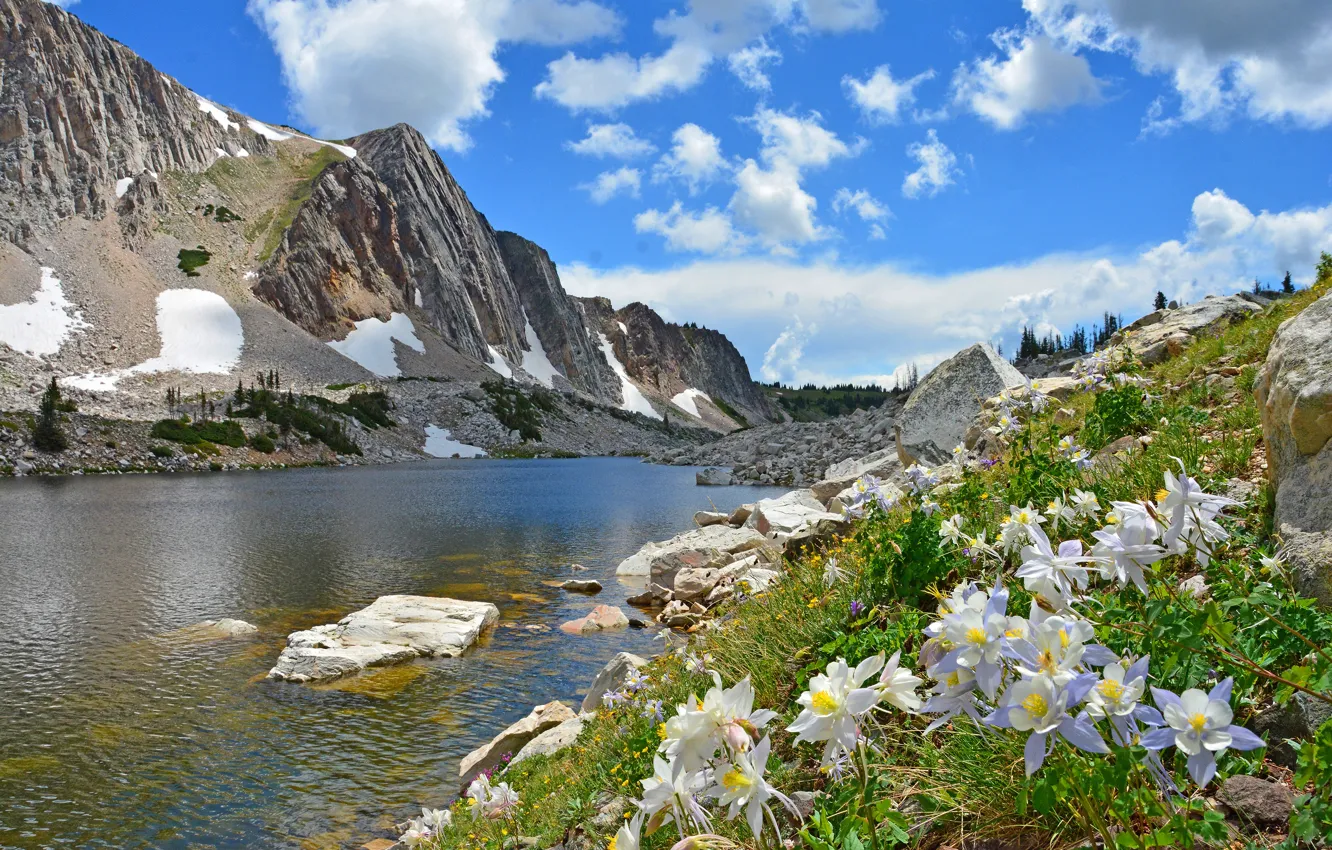 Photo wallpaper greens, the sky, clouds, snow, flowers, mountains, lake, river