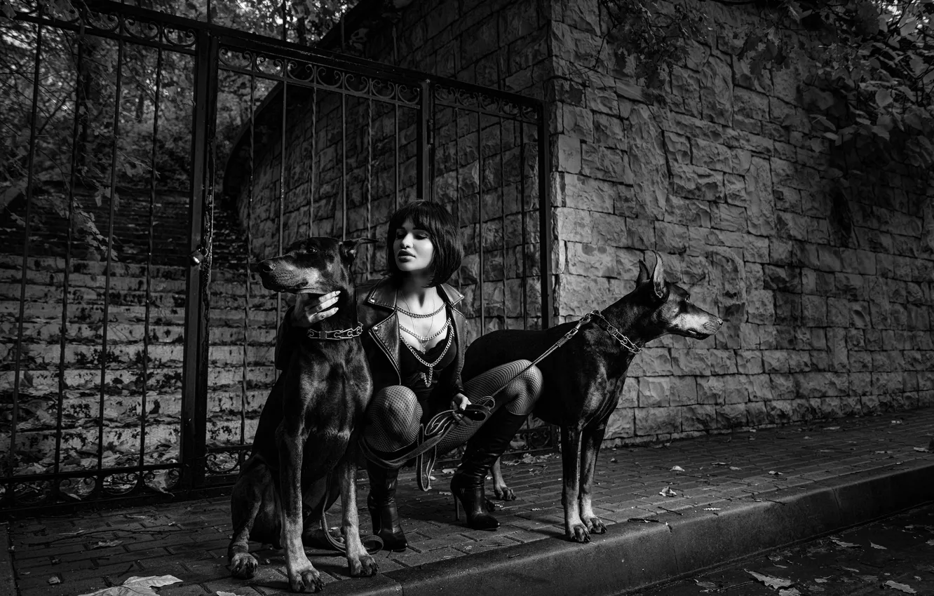 Photo wallpaper girl, black and white, Doberman, Sergey Artamonov