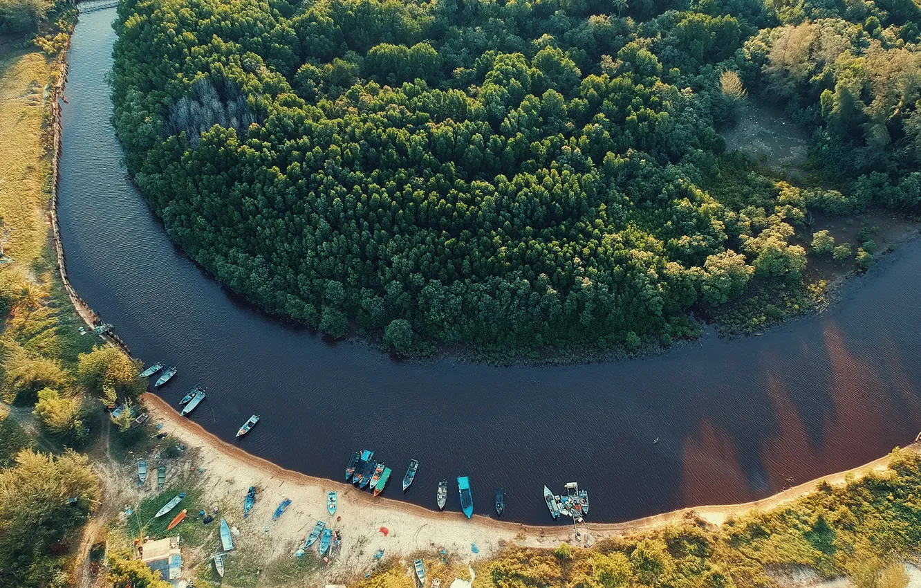 Photo wallpaper forest, trees, landscape, nature, river, shore, Marina, plants