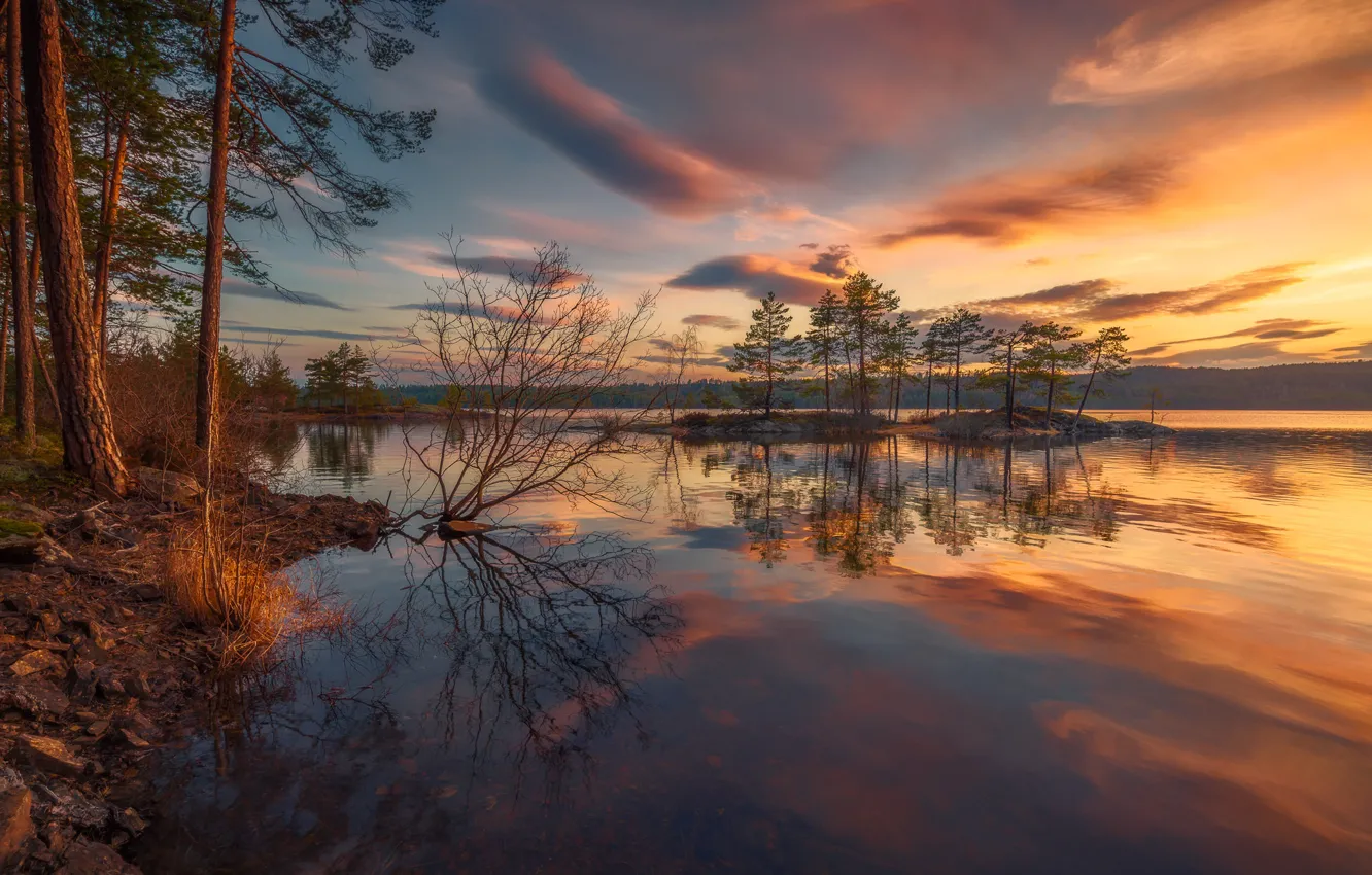 Photo wallpaper forest, the sky, sunset, lake, Norway, Norway, Ringerike, Ole Henrik Skjelstad