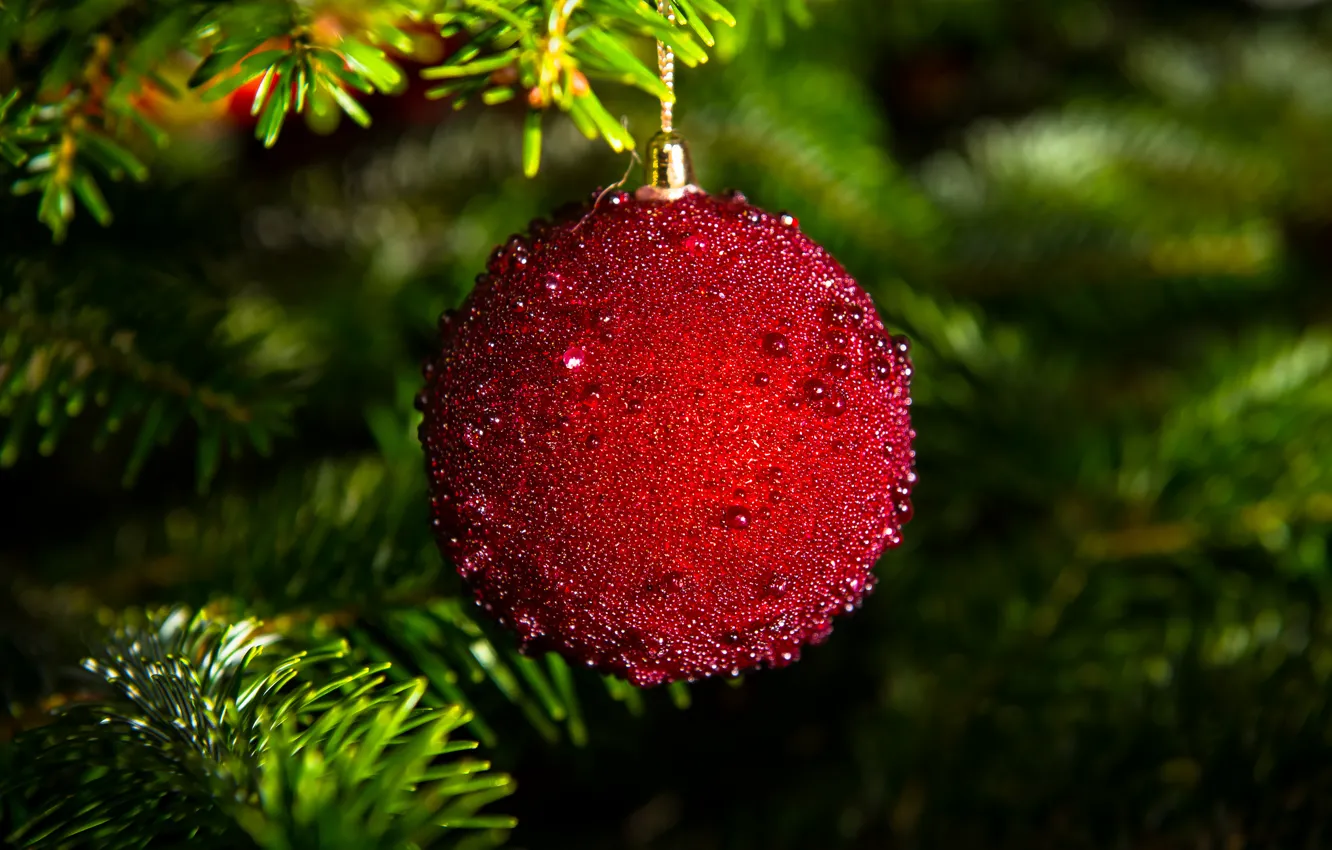 Photo wallpaper branches, red, toys, tree, ball, spruce, ball, New Year