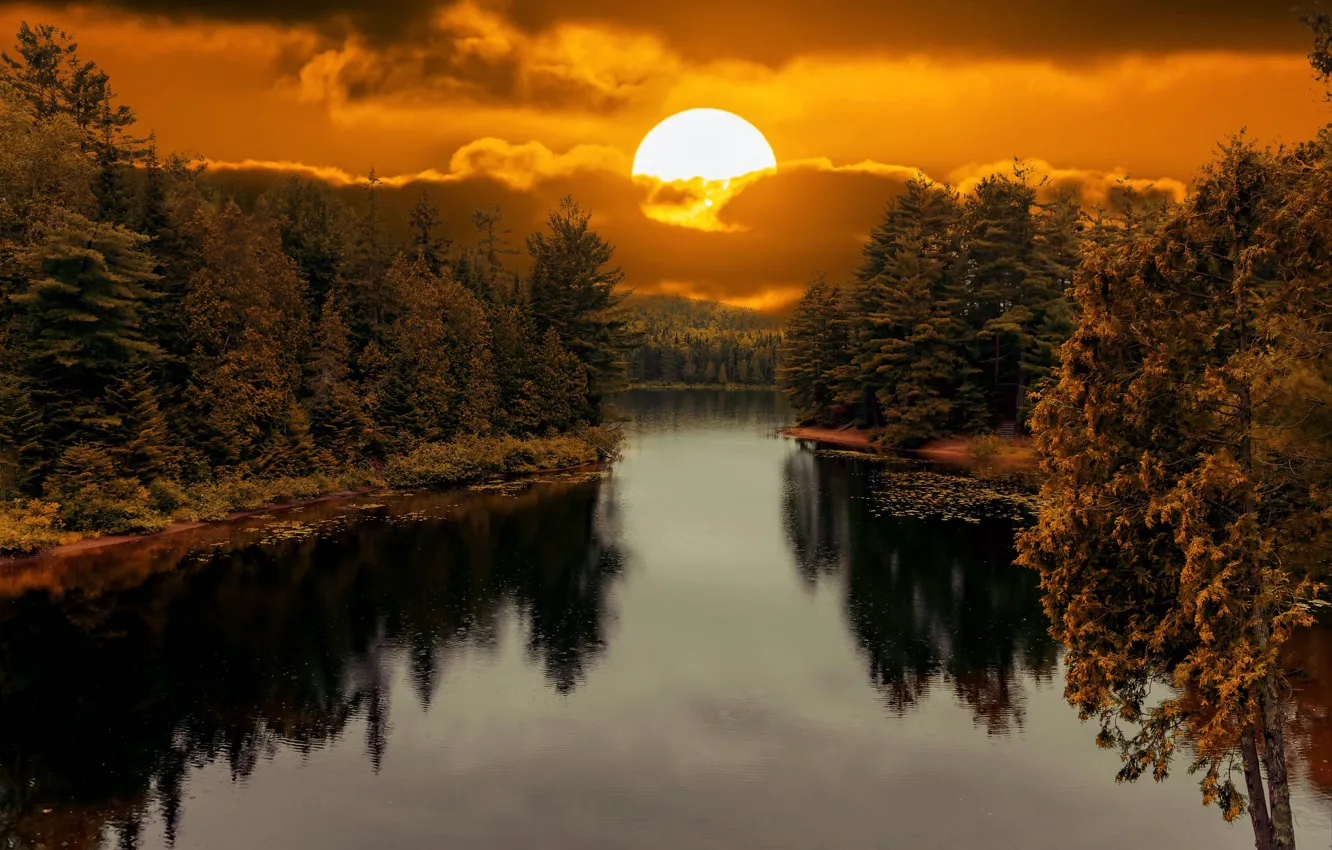 Photo wallpaper forest, the sun, sunset, reflection, shore, pond