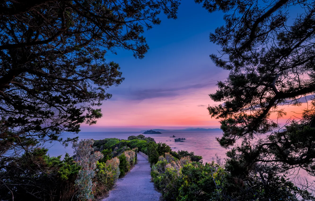 Photo wallpaper sea, the sky, sunset, branches, coast, horizon, Italy, track