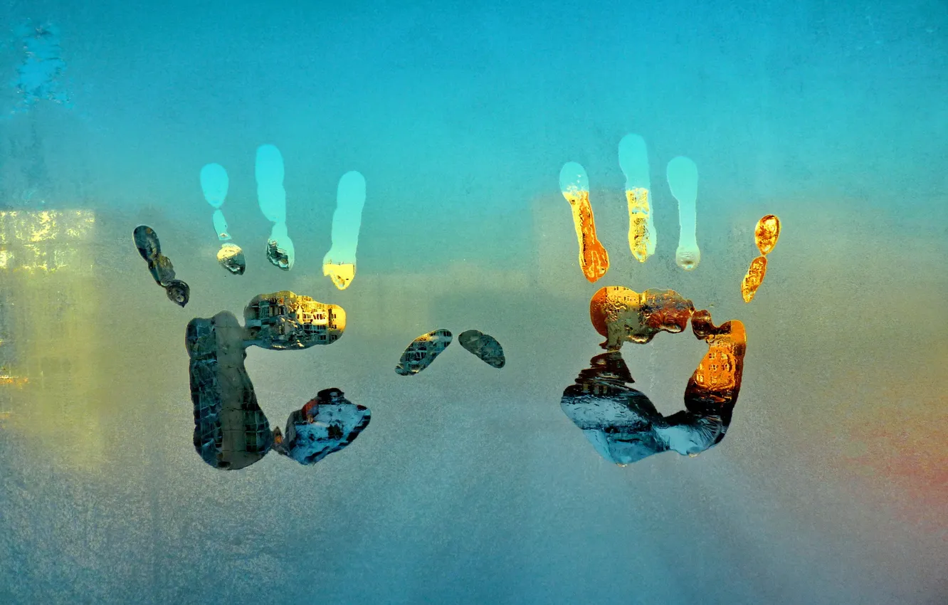 Photo wallpaper frost, glass, window, frost, palm, imprint