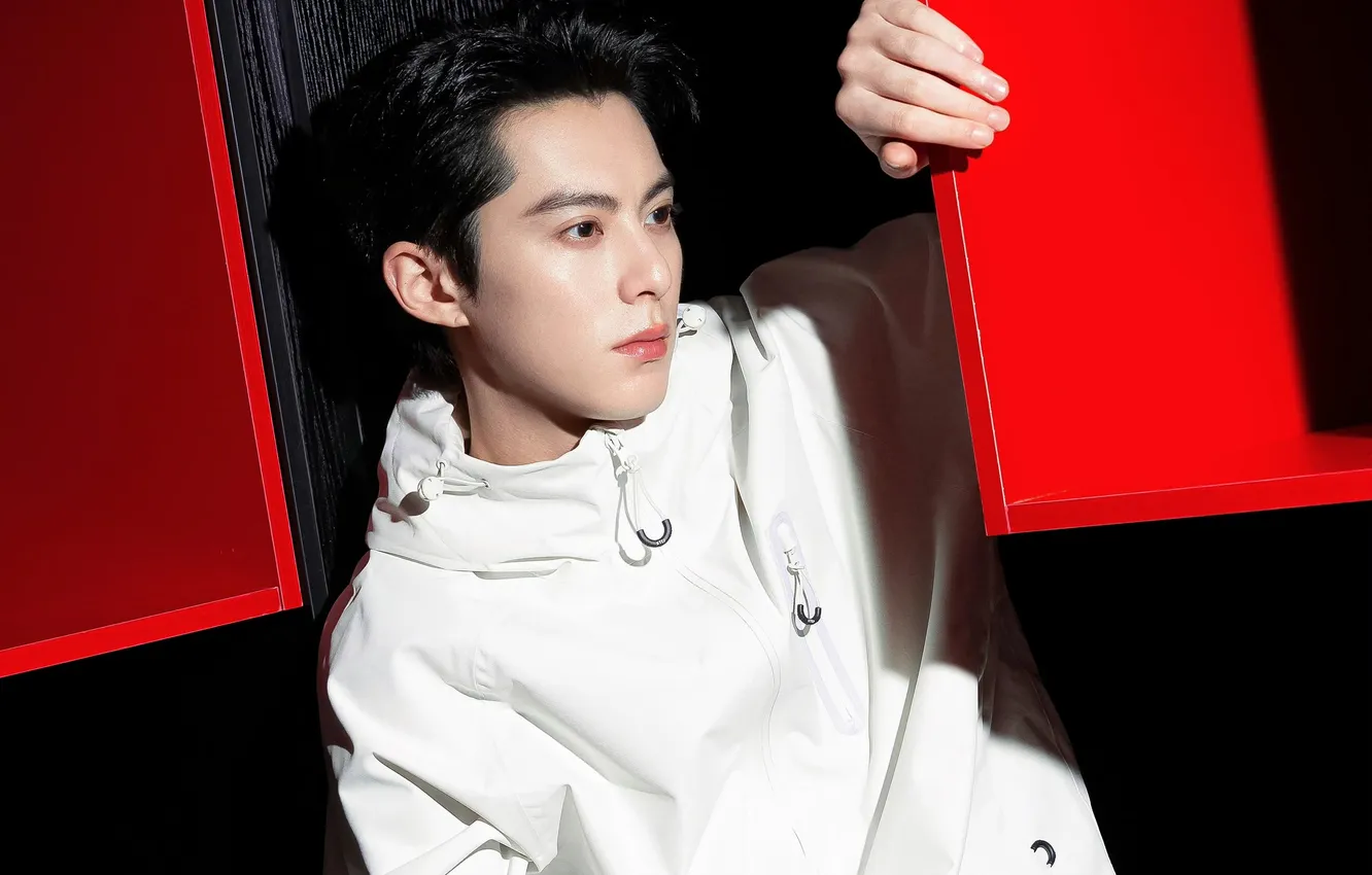 Photo wallpaper style, China, guy, Chinese, Chinese actor, Van Heady, Dylan Wang
