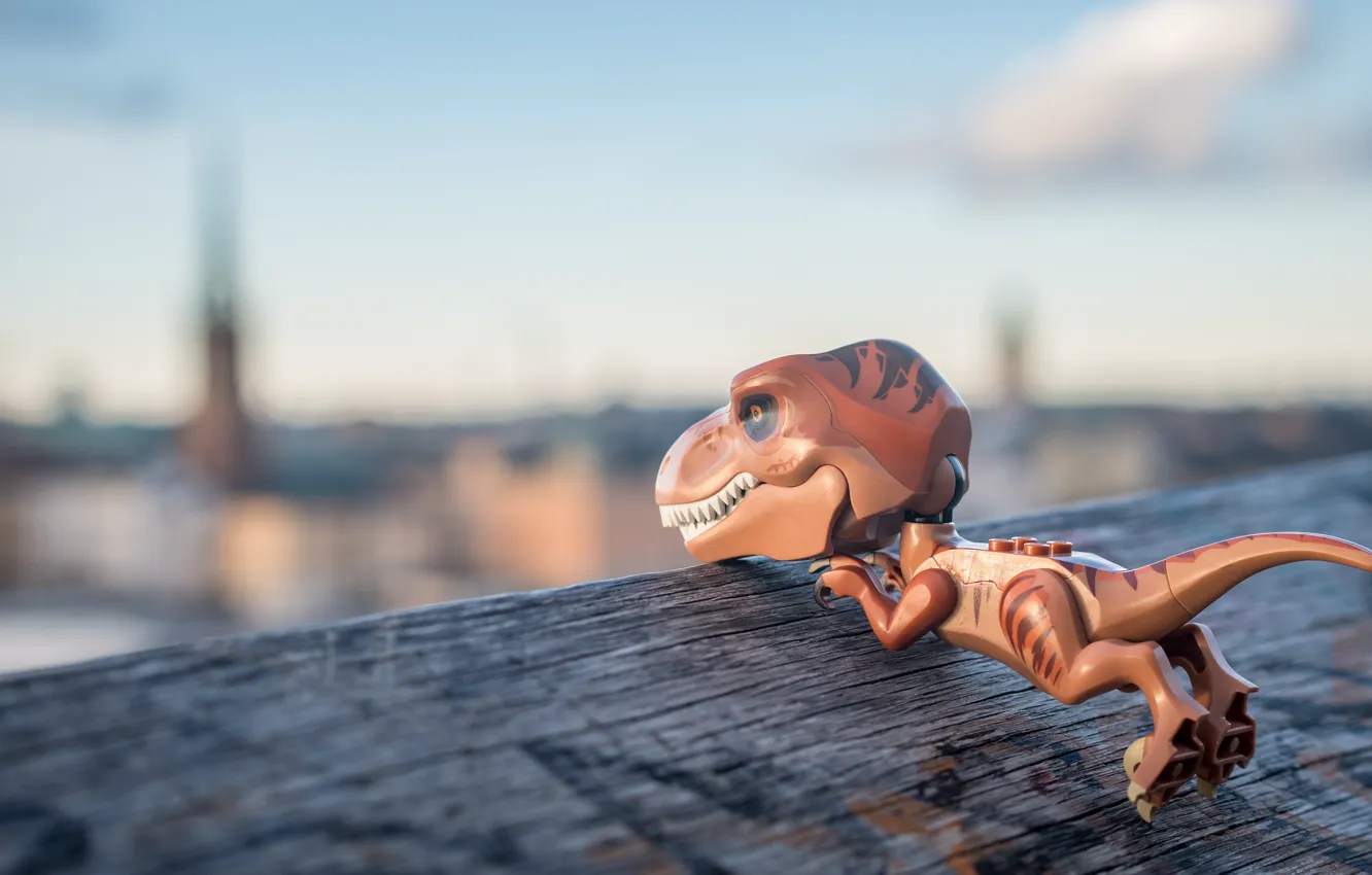 Photo wallpaper toy, dinosaur, T-Rex