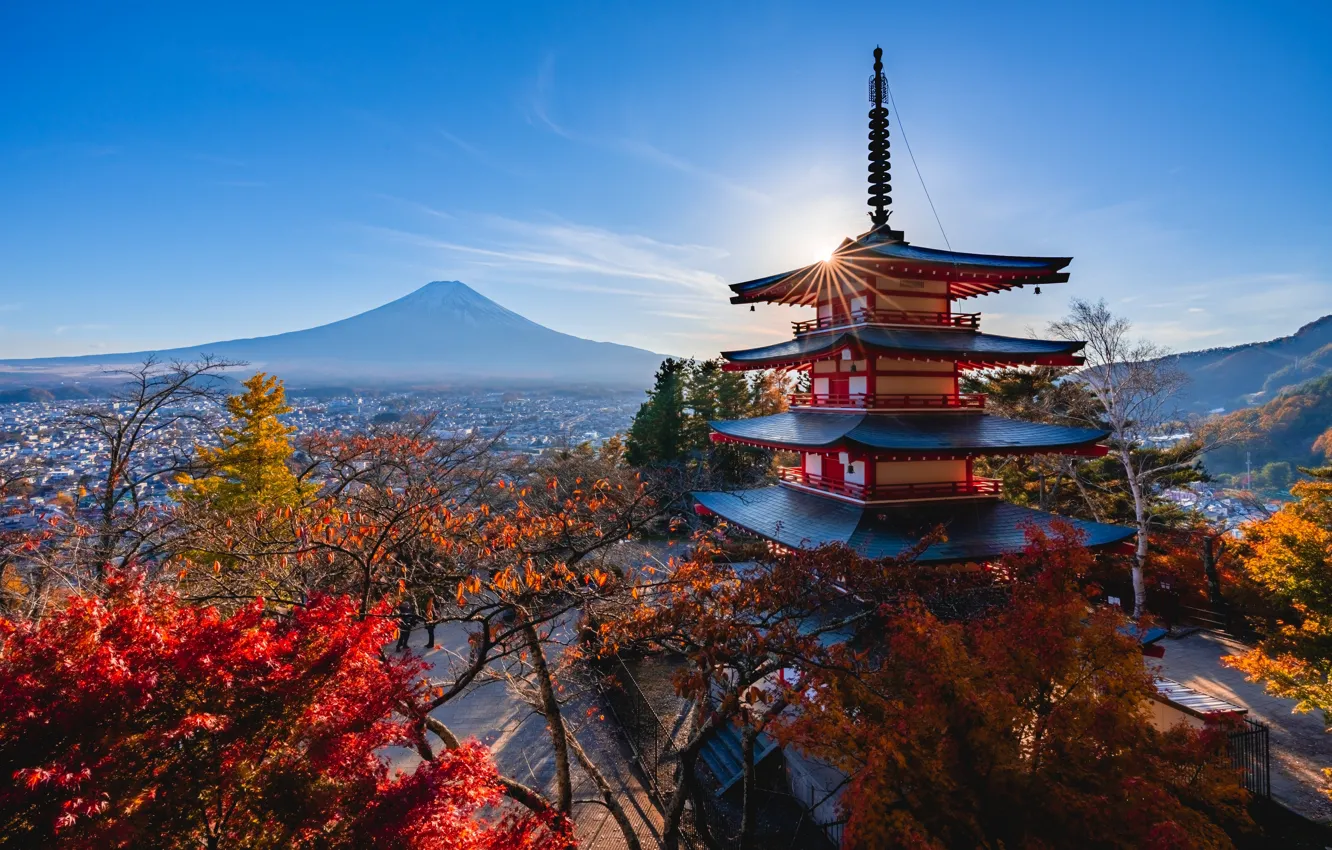 Photo wallpaper autumn, the sun, rays, light, trees, mountains, branches, the city