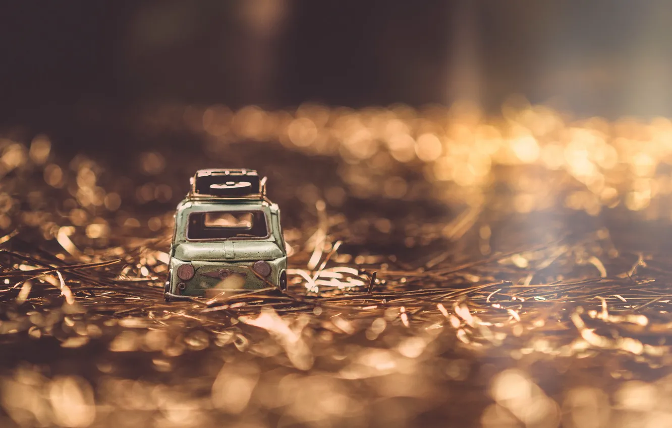 Photo wallpaper leaves, light, machine, bokeh