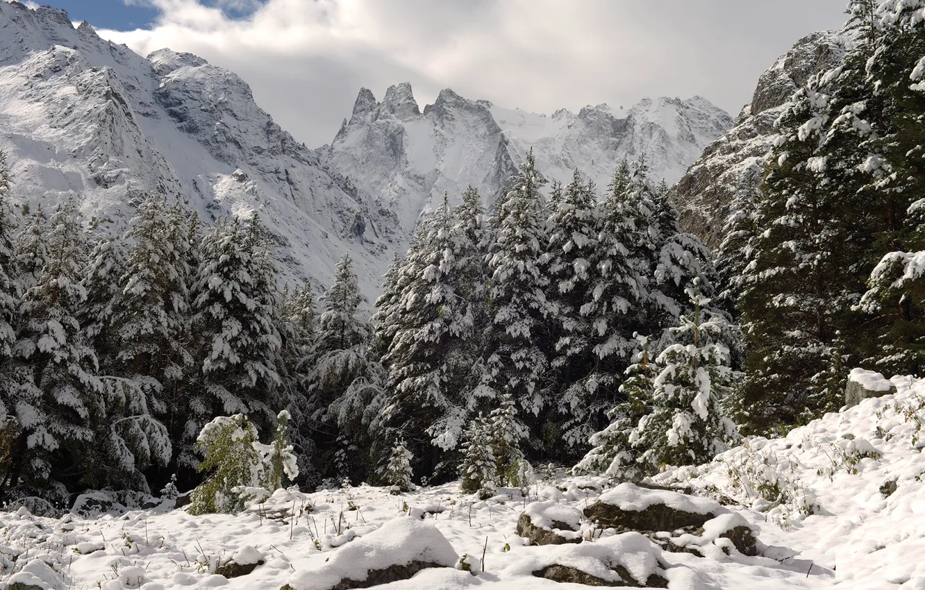 Photo wallpaper winter, clouds, snow, trees, landscape, mountains, nature, stones