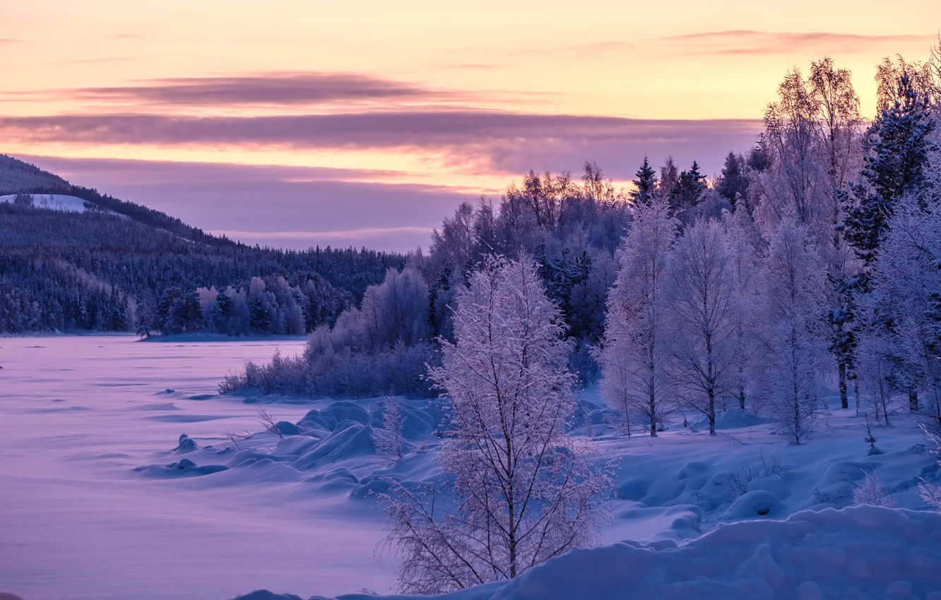 Photo wallpaper winter, frost, forest, clouds, snow, trees, sunset, lake