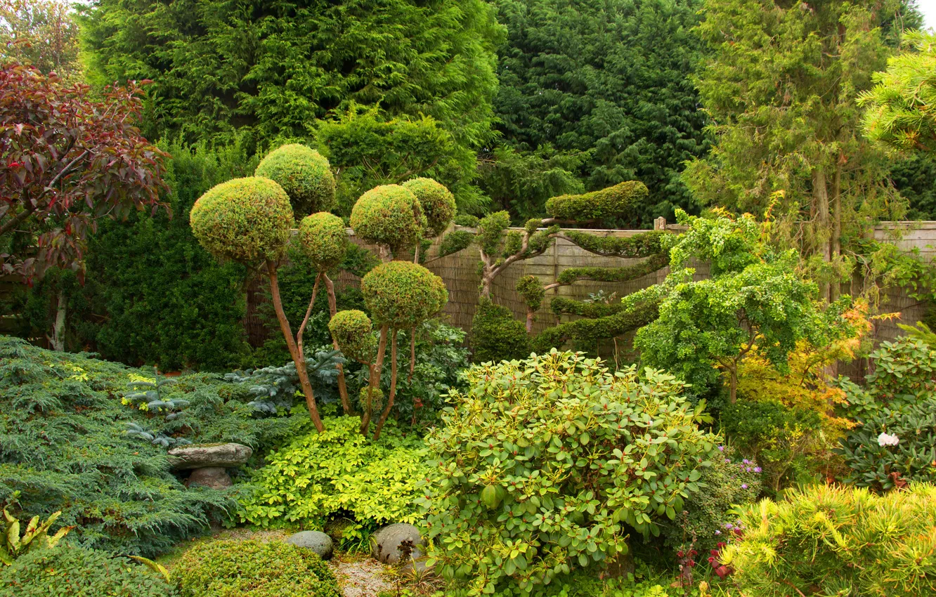 Photo wallpaper greens, trees, Park, the fence, England, the bushes, West Midland Safari Park, Bewdley