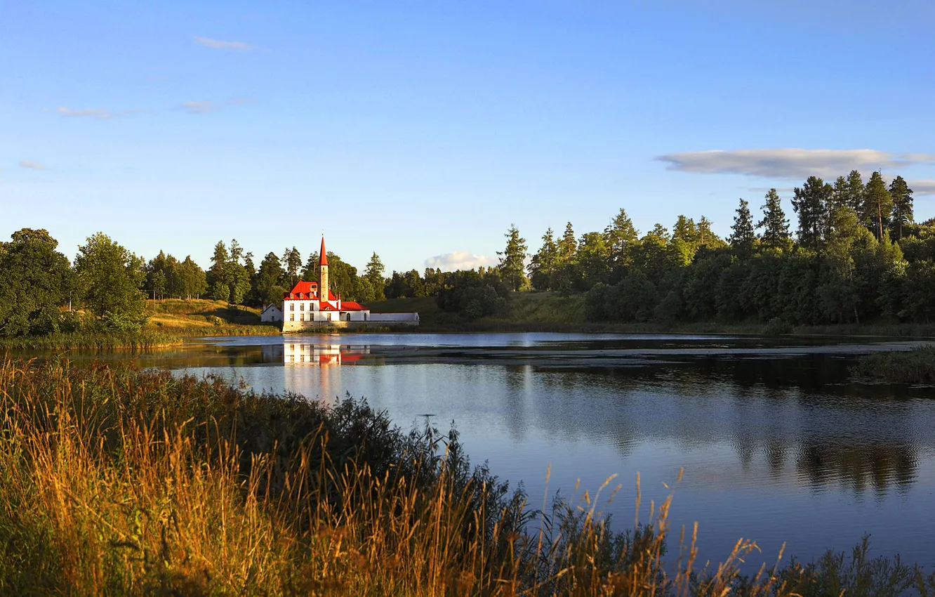 Photo wallpaper forest, the sky, grass, nature, lake, pond, tower, home