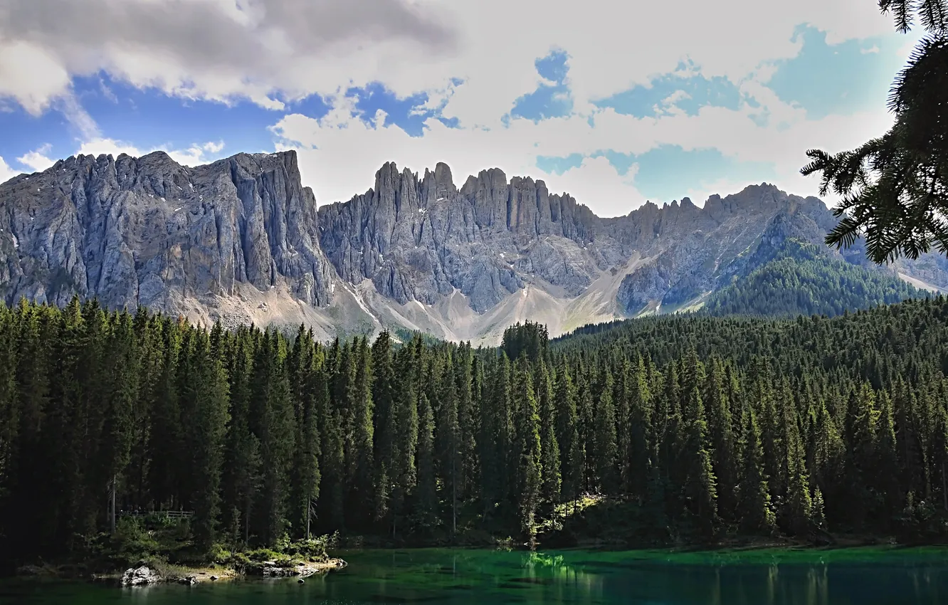 Photo wallpaper forest, the sky, clouds, trees, mountains, lake