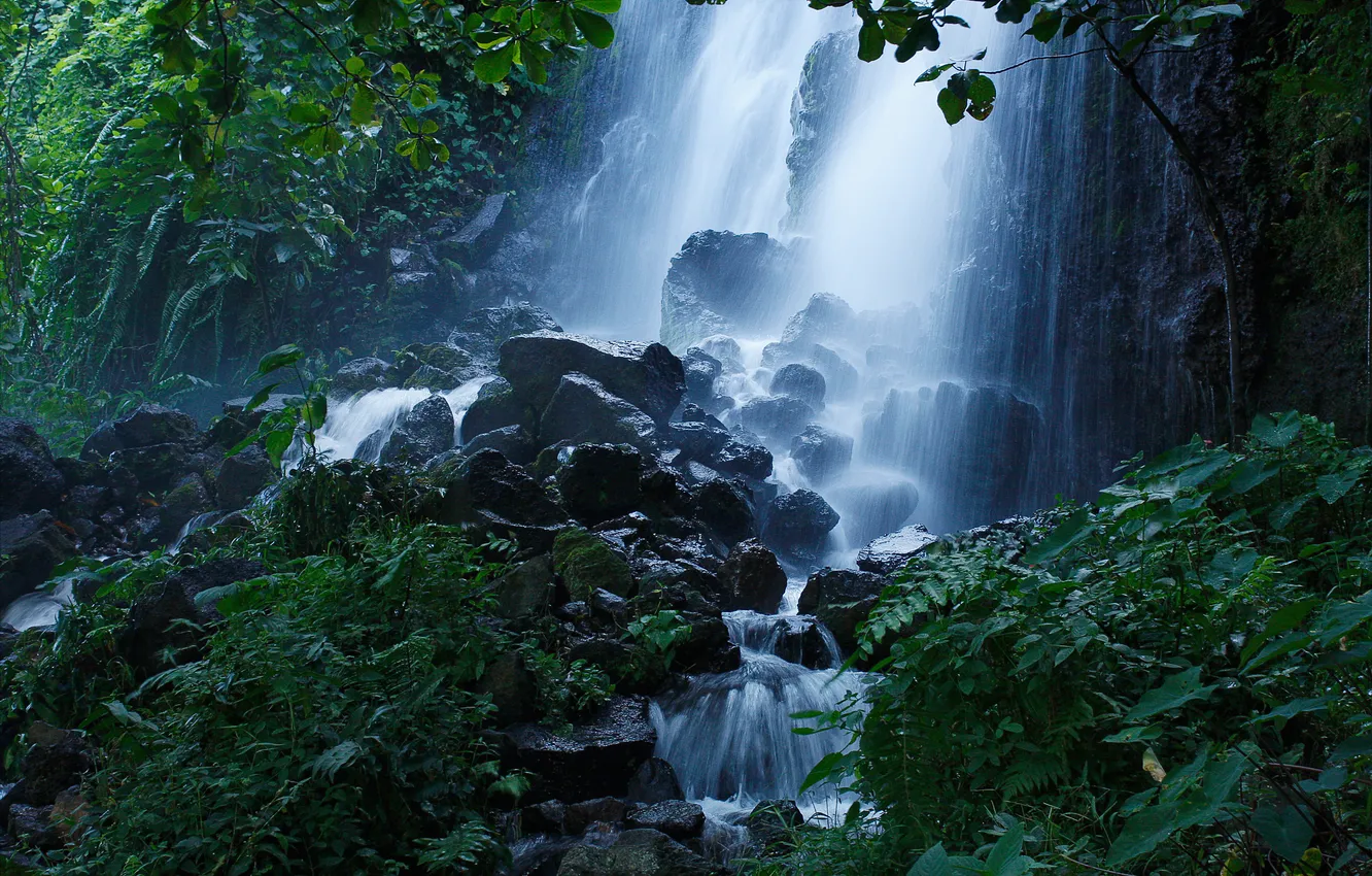 Photo wallpaper forest, stones, waterfall