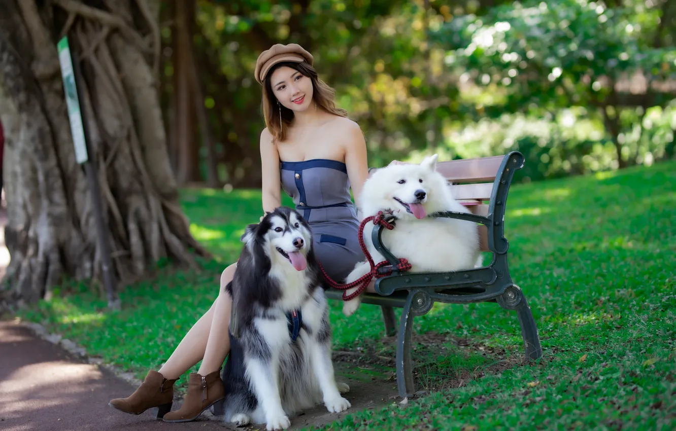 Photo wallpaper dogs, girl, Asian, bench