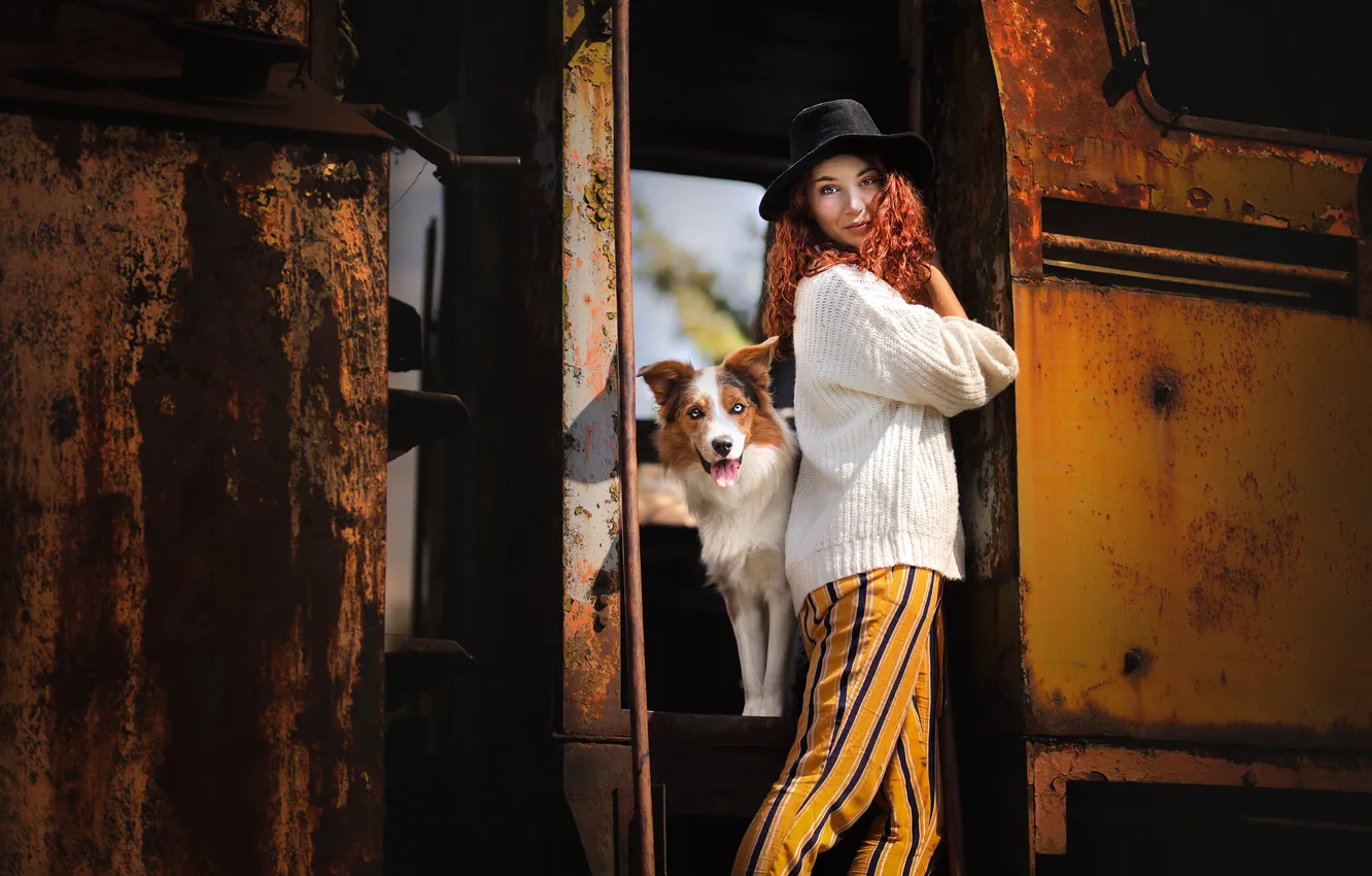Photo wallpaper look, girl, pose, dog, hat, curls, sweater, the border collie