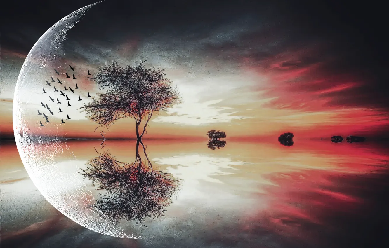 Photo wallpaper trees, bird, the moon, fantasy