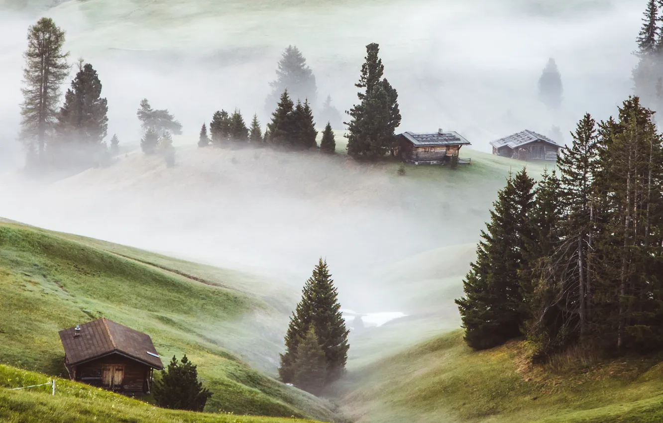 Photo wallpaper grass, trees, nature, fog, hills